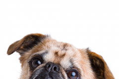 141024_Kosmos_Studio_04